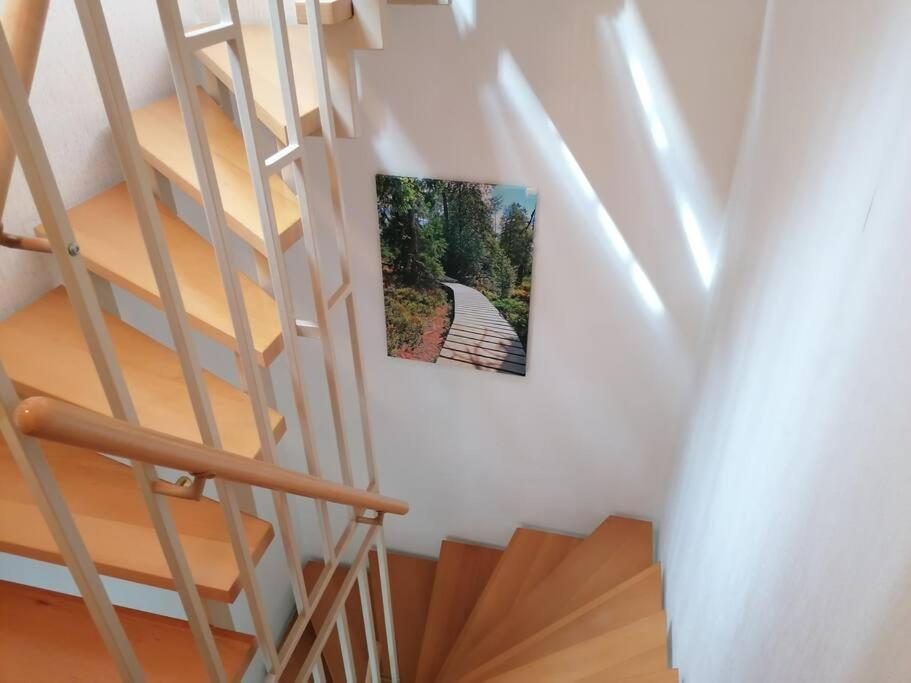 Ferienhaus Hoher Weg - Urlaub, Wandern, Downhill Und Workation Am Nationalpark Harz Sankt Andreasberg Εξωτερικό φωτογραφία