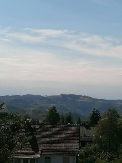 Ferienhaus Hoher Weg - Urlaub, Wandern, Downhill Und Workation Am Nationalpark Harz Sankt Andreasberg Εξωτερικό φωτογραφία