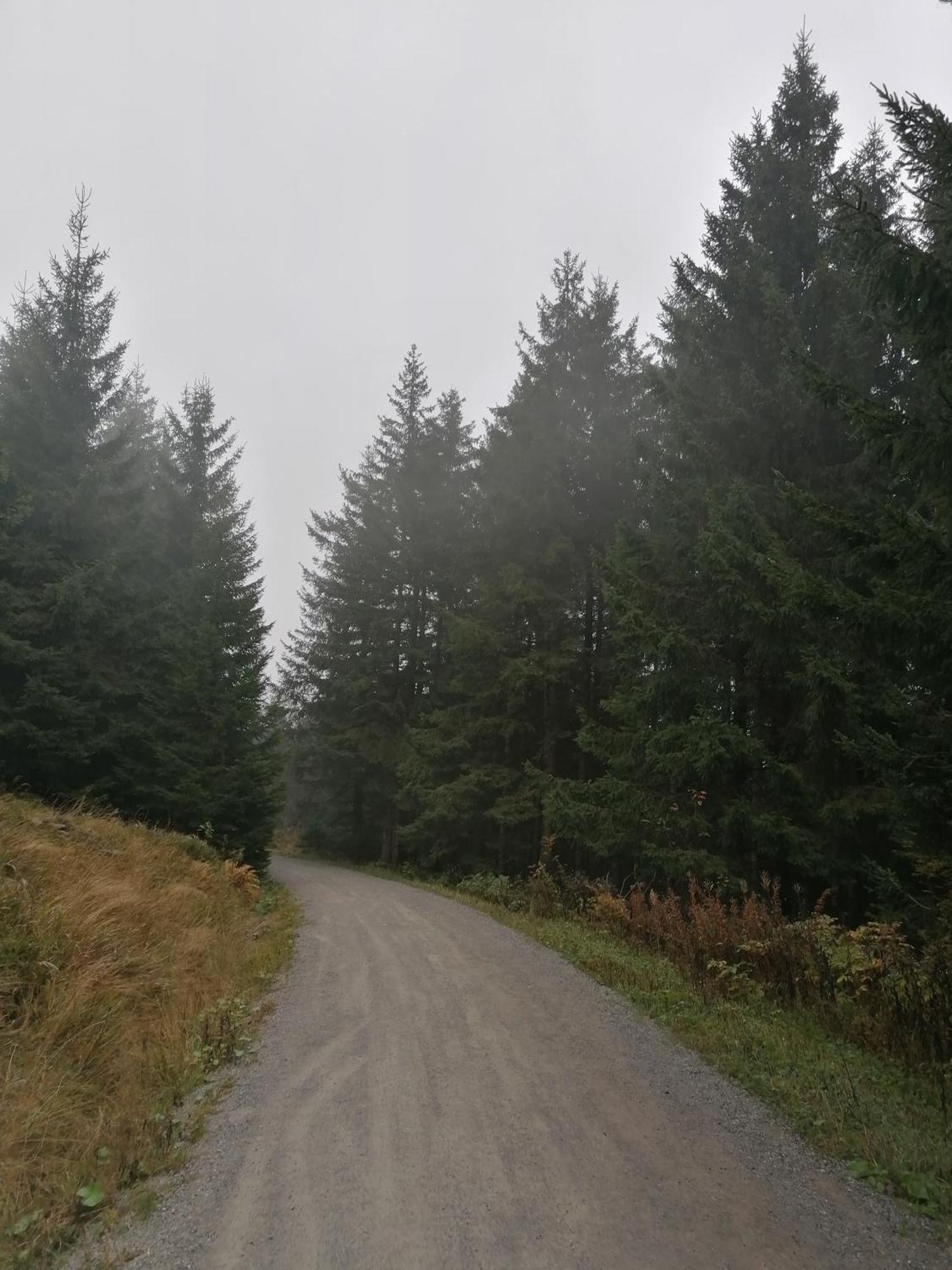 Ferienhaus Hoher Weg - Urlaub, Wandern, Downhill Und Workation Am Nationalpark Harz Sankt Andreasberg Εξωτερικό φωτογραφία