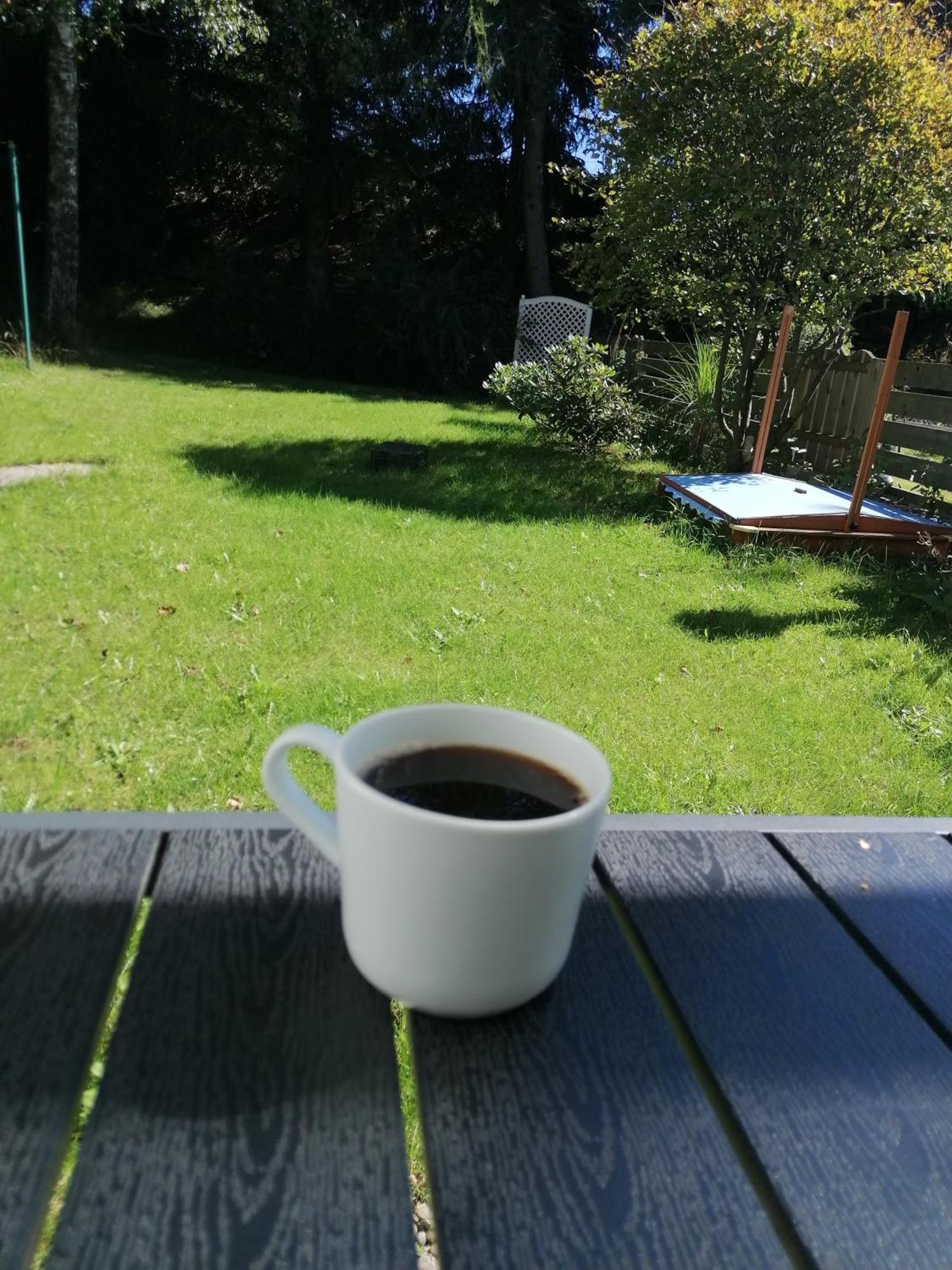 Ferienhaus Hoher Weg - Urlaub, Wandern, Downhill Und Workation Am Nationalpark Harz Sankt Andreasberg Εξωτερικό φωτογραφία